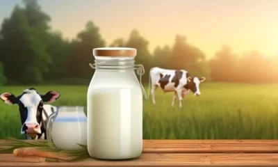 Revitalizing Health with Wellhealthorganic.com:Buffalo Milk